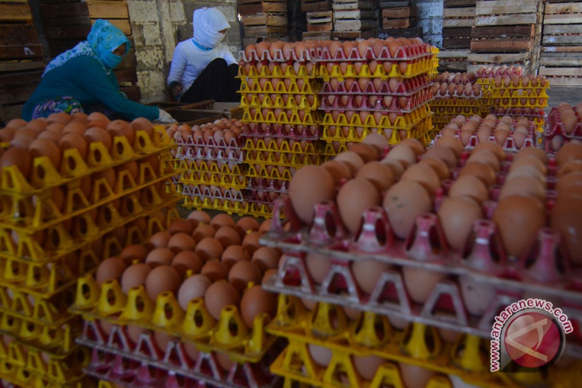 Harga telur di Indramayu tembus Rp27 ribu per kg