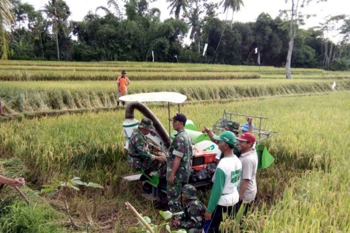 Ini Progres Capaian Ketahanan Pangan Kodim 0824 Jember