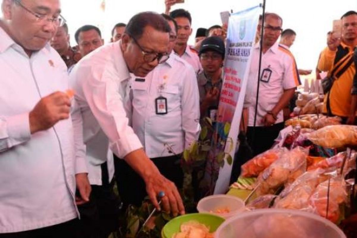 Berkunjung ke Kampar, Menteri Sebut Dana Desa Serap 5 Juta Tenaga Kerja