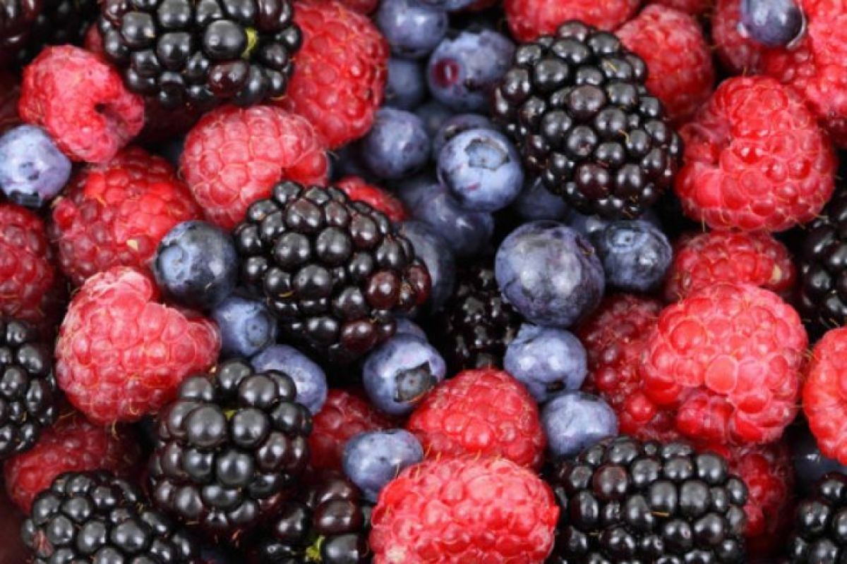 Khasiat buah beri untuk berat badan hingga tangkal kanker
