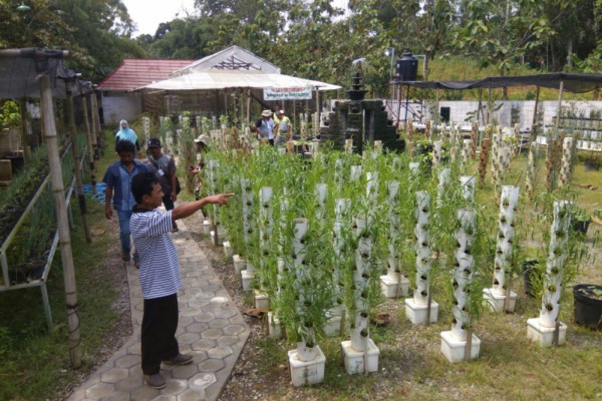 Pemkab Sigi ajak masyarakat budidayakan kelor