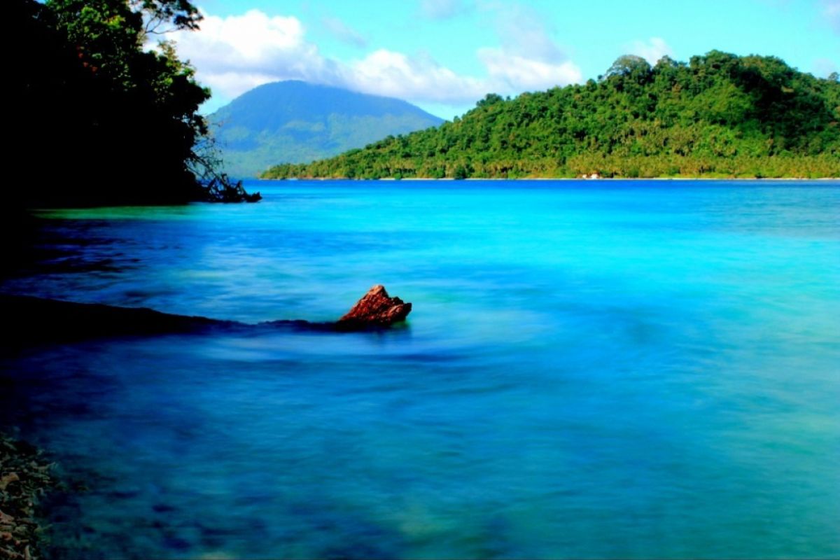 Pembukaan tambak ancam konservasi cagar alam laut Lampung