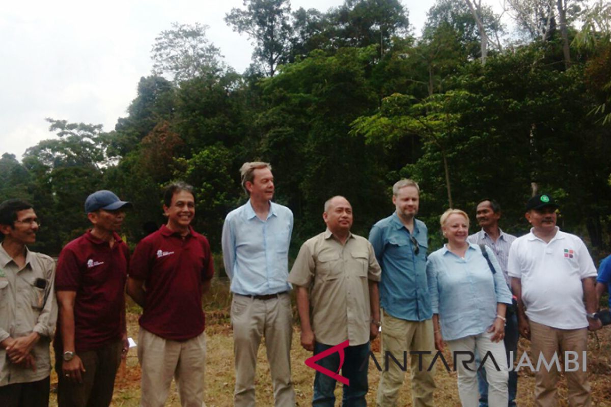 Dubes Uni Eropa kunjungi hutan harapan