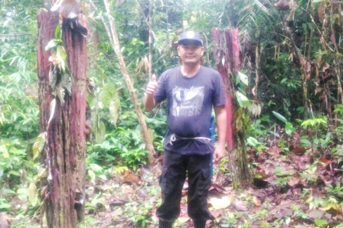 Situs sejarah di Desa Tongka Gunung Timang potensi jadi objek wisata