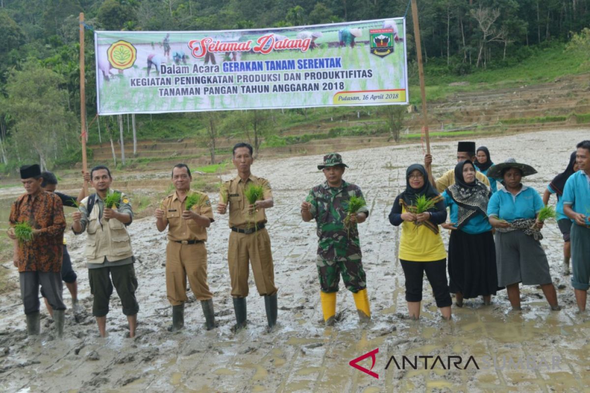 Sijunjung canangkan tanam padi serentak, guna tingkatkan produksi