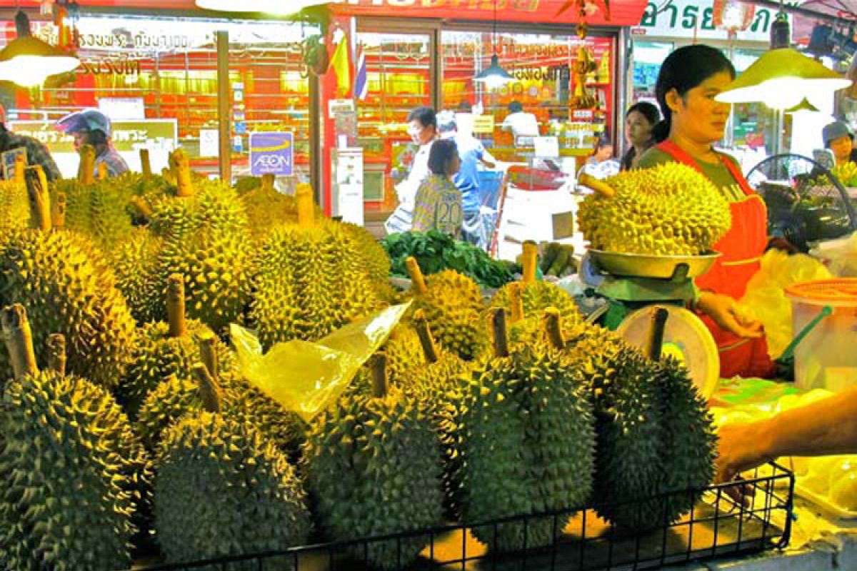 Setiap menit, 80 ribu butir durian Thailand terjual berkat Alibaba