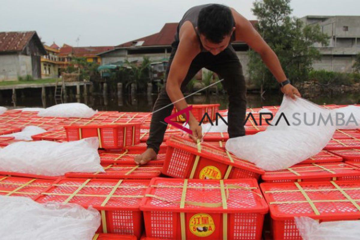 Sumbar penghasil manggis terbesar kedua Indonesia