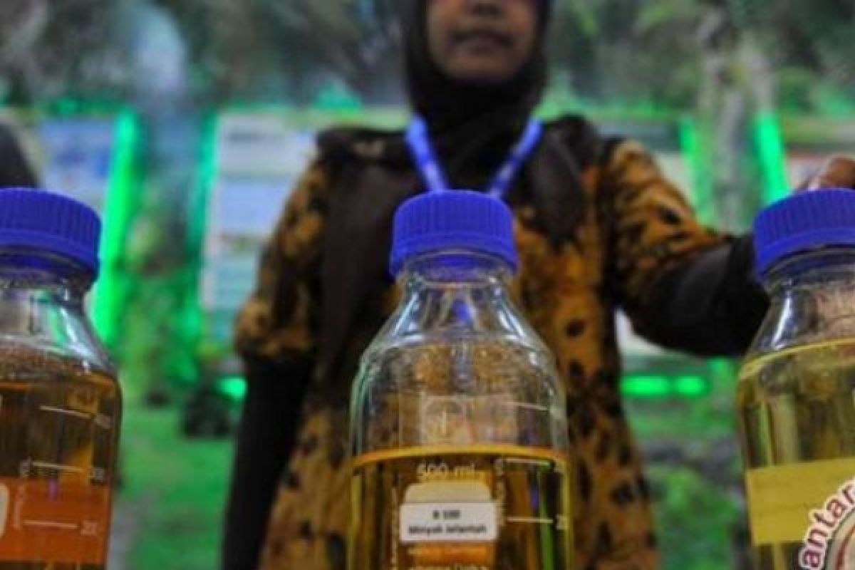 Harga BBM dari Minyak Sawit Biodiesel juga Naik, Akibat dari Faktor ini