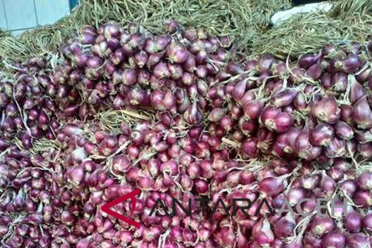 Harga bawang merah anjlok di Lhokseumawe