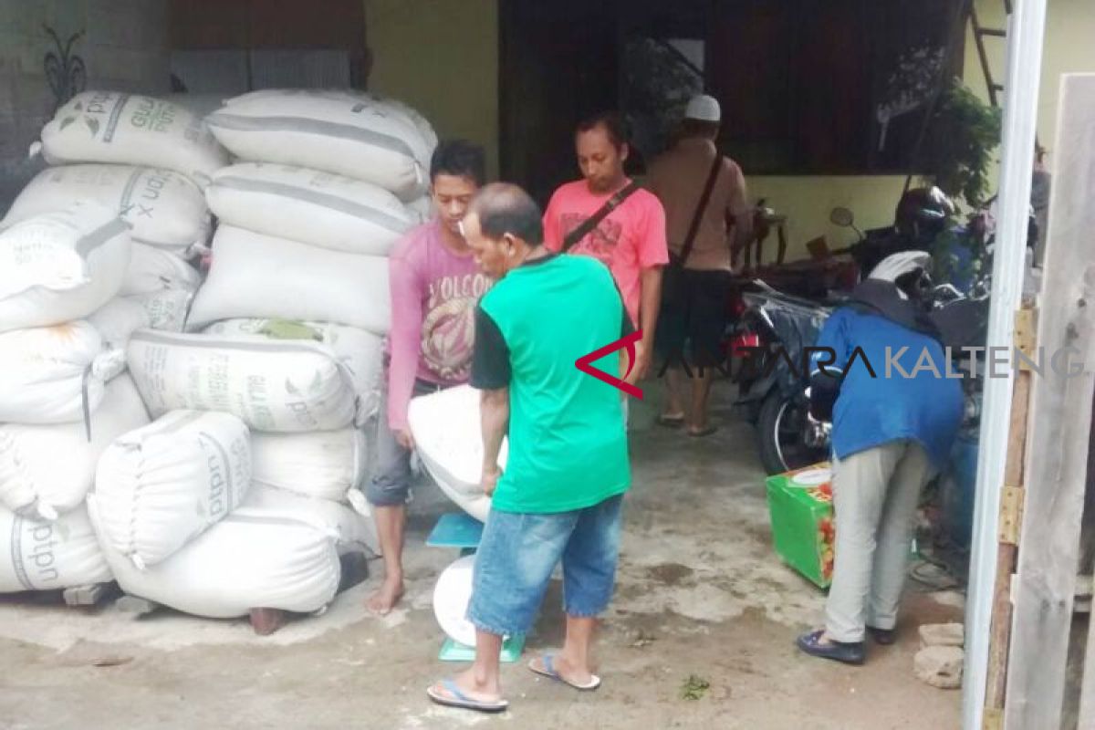 HKTI siap beli produksi jagung petani Seruyan