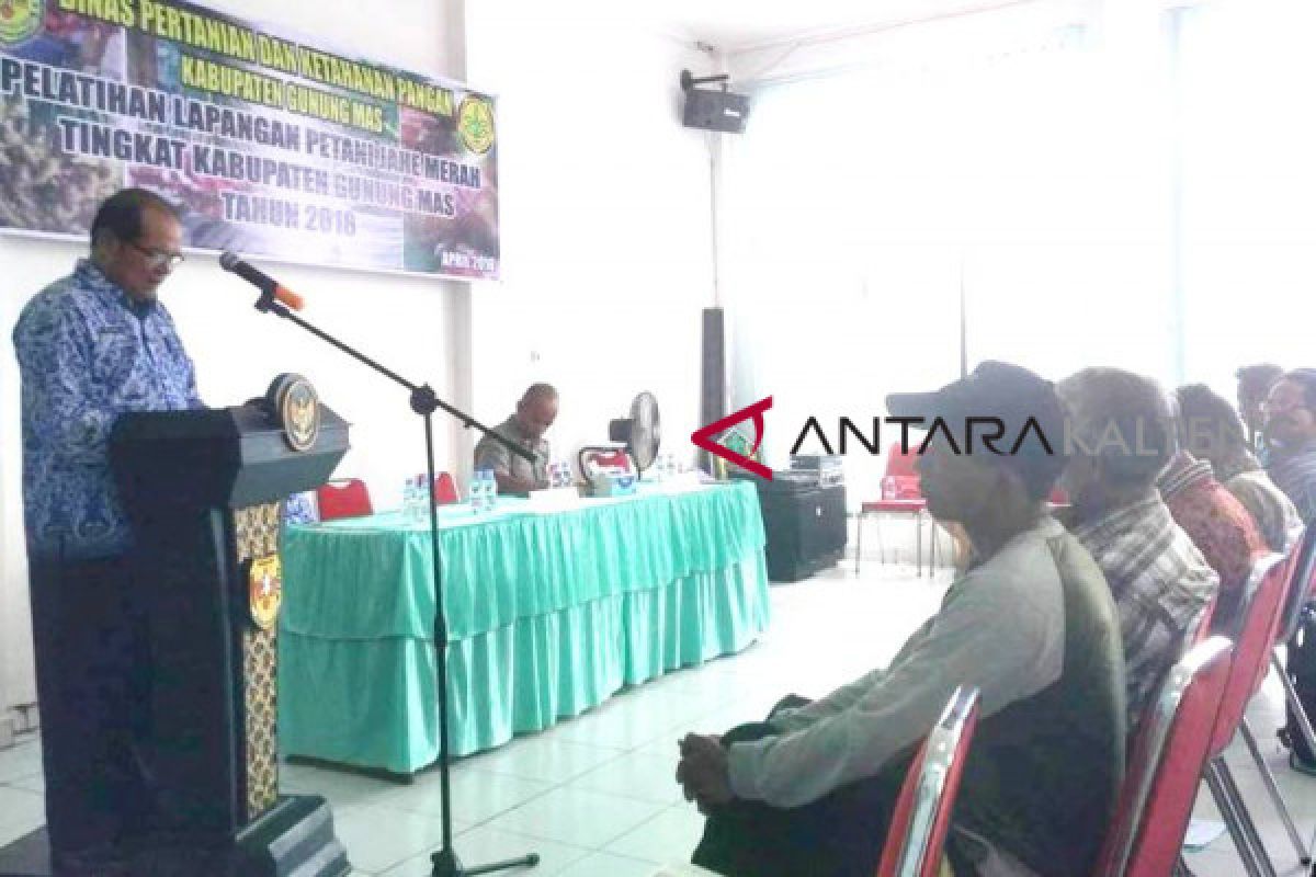 22 petani jahe merah ikuti pelatihan peningkatan produksi