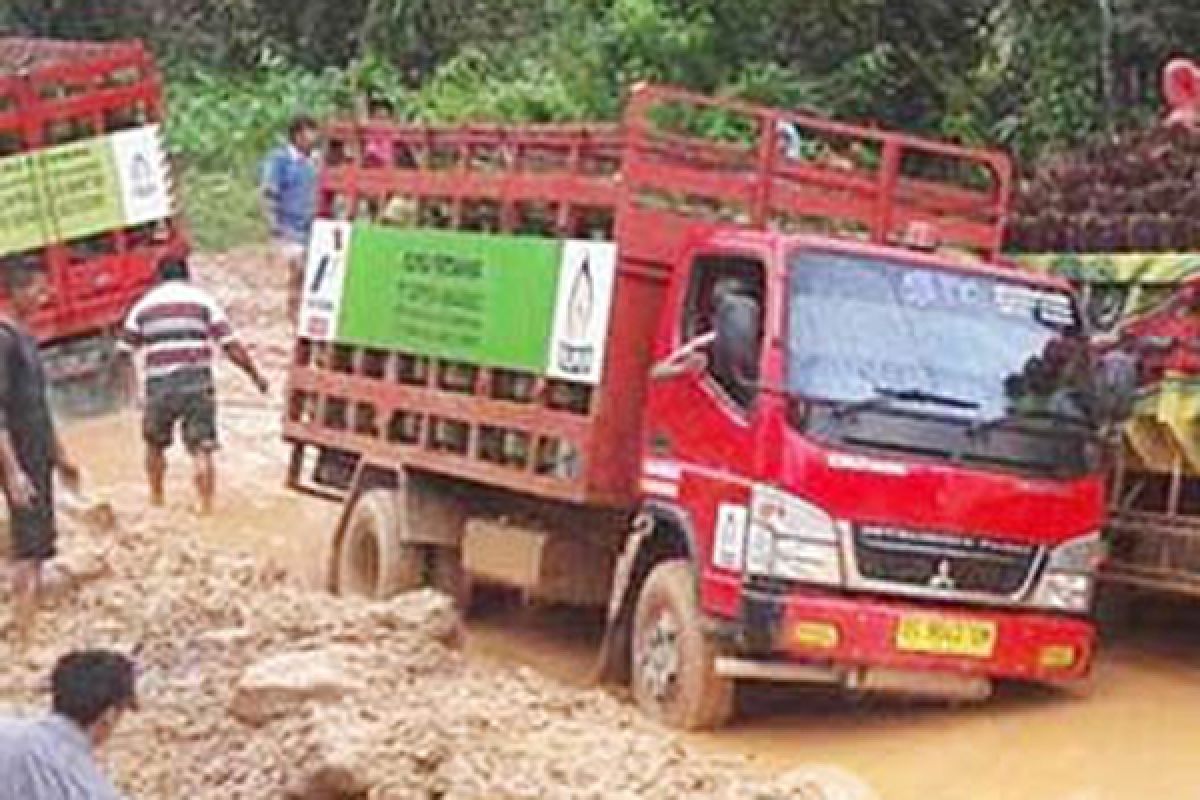 Ruas jalan Trans Sulawesi rusak berat