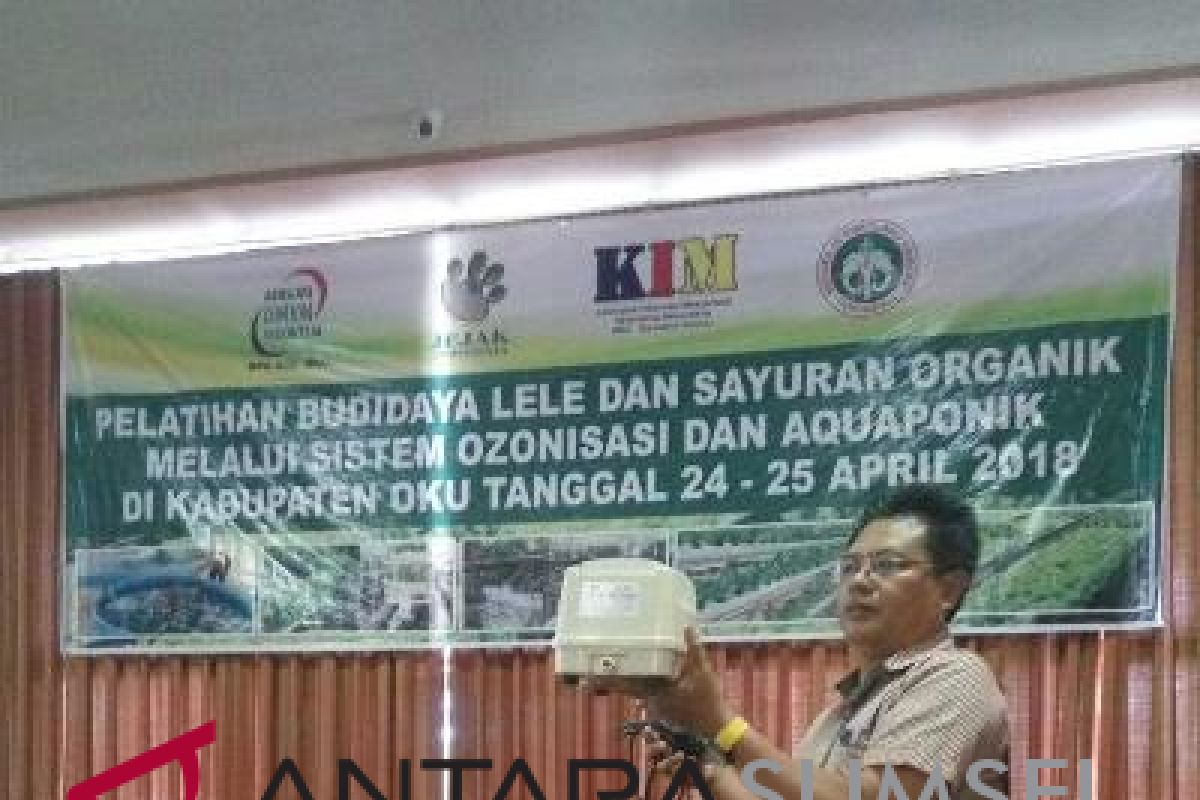 Jejak indonesia ajak masyarakat budidayakan ikan lele