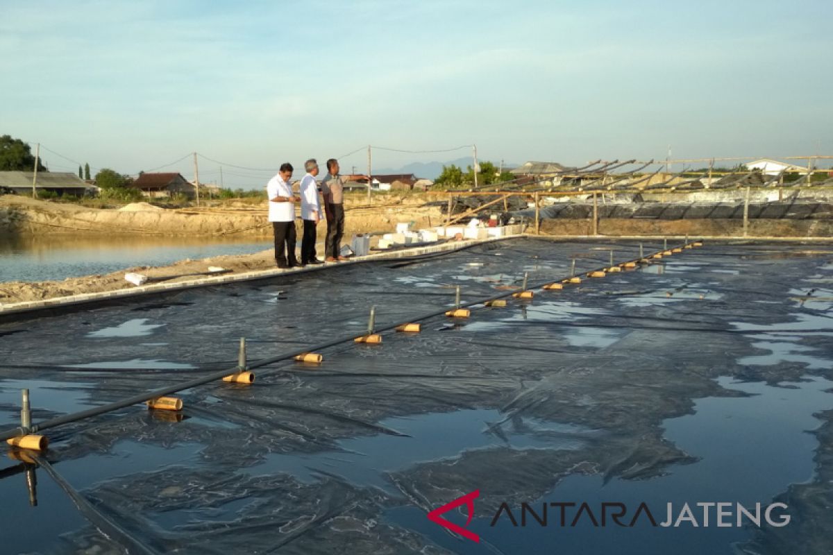 Petani garam harapkan Kadin suarakan pengetatan impor