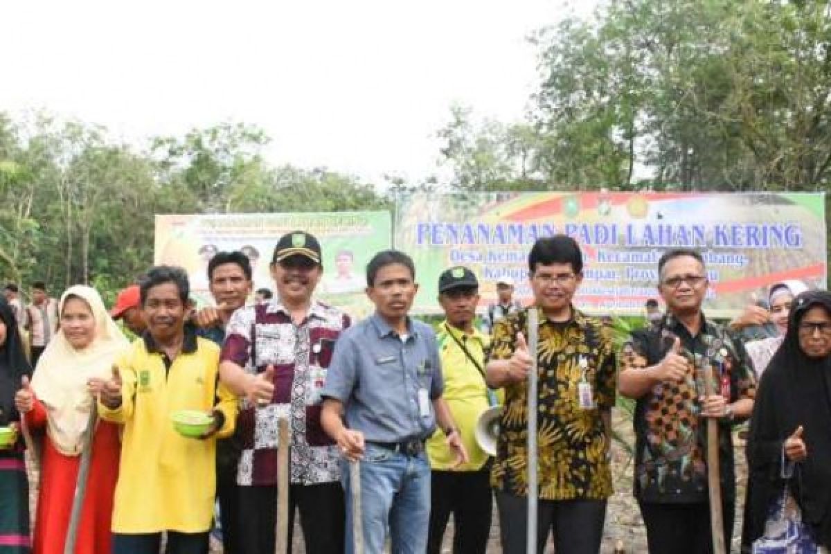 Kampar Terima Bantuan Benih dan Pupuk Untuk 150 Ribu Hektar lahan Kering