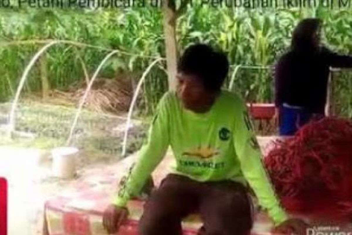 Kisah Suryono Menebar Virus Holtikultura di Tengah Perkebunan Sawit Riau