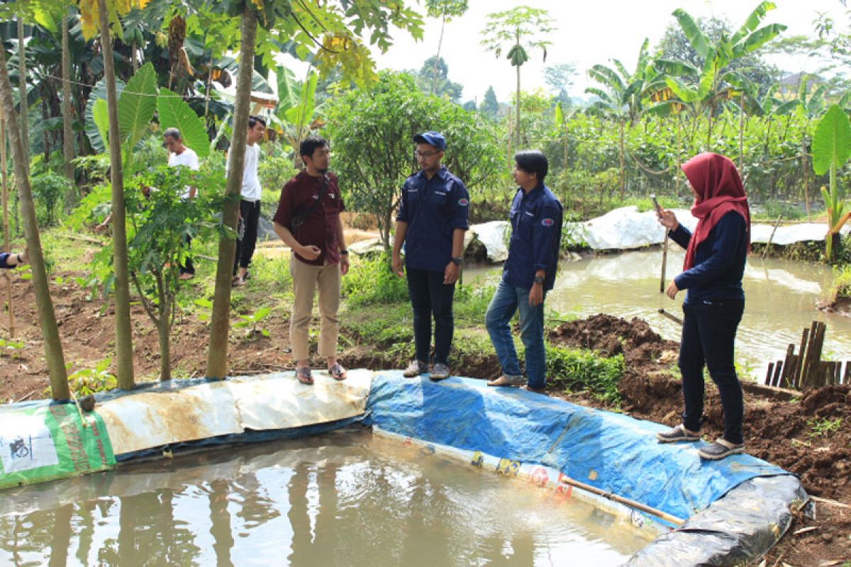 Himakua IPB tebar tiga ribu benih ikan di desa binaan