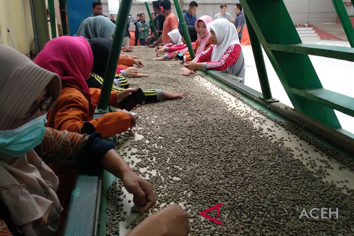 Ekspor kopi lewat Aceh masih sangat minim