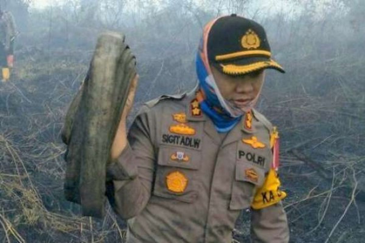 Lagi 260 Hektare Lahan Gambut di Tanah Putih Terbakar, 10 Hektare di PT Johanes