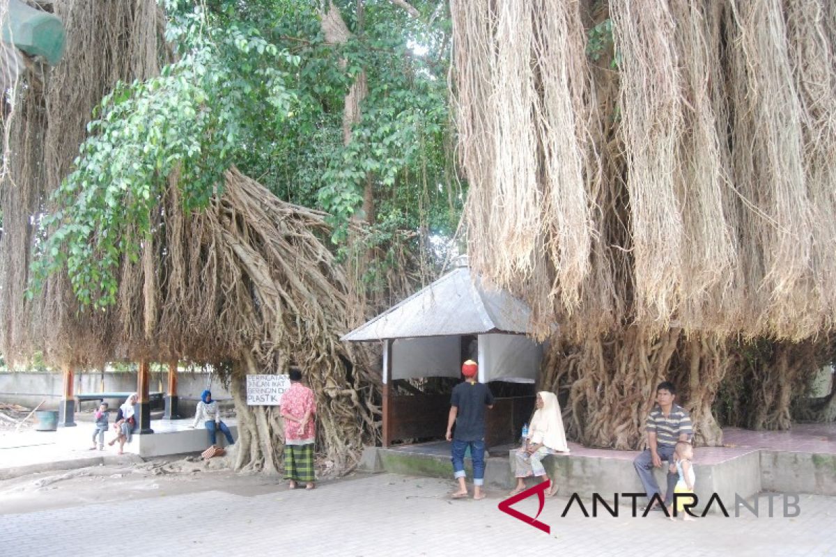 pemkot segera relokasi pkl makam loang baloq