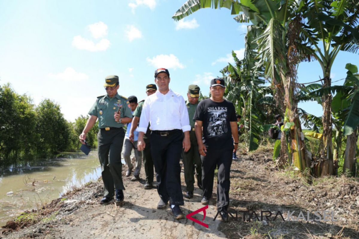 Mentan canangkan optimalisasi rawa 67 ribu hektare