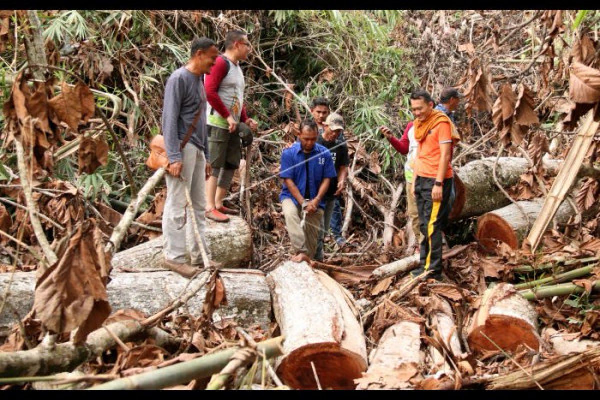 300 batang kayu olahan ilegal asal Ketapang diamankan