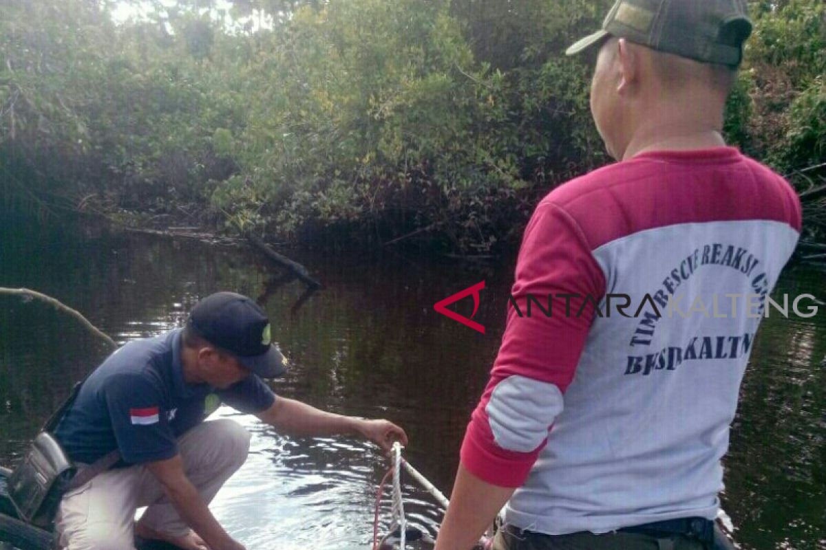 Hampir sepekan, bagaimana hasil BKSDA memancing buaya Sungai Mentaya?