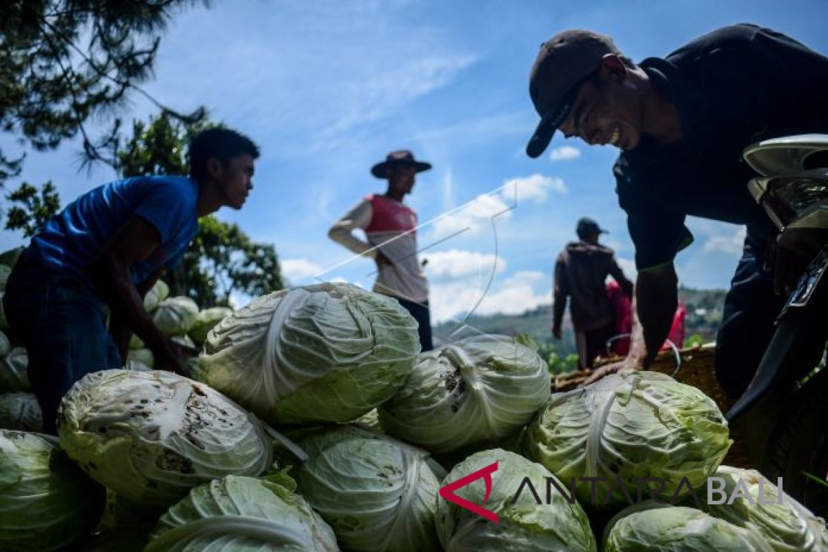 Ini makanan penangkal masalah jantung