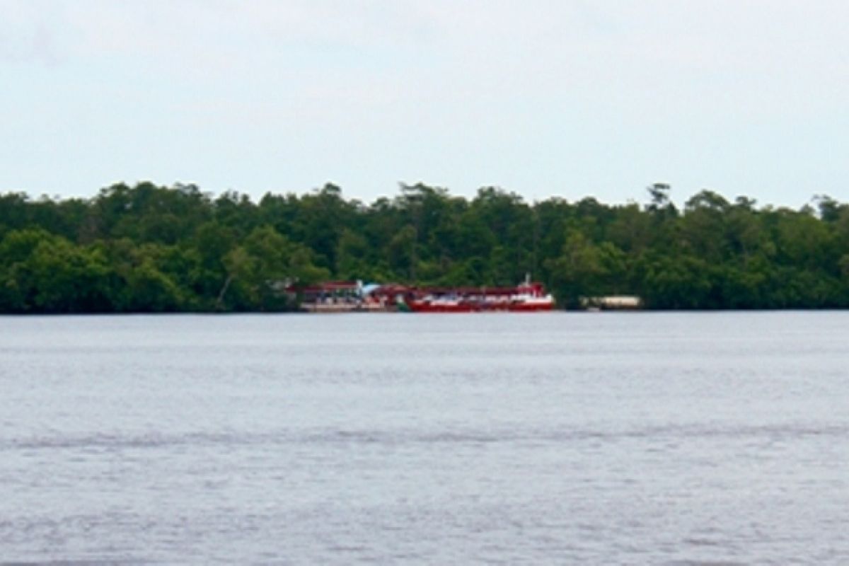 Pemerintah genjot realisasi program BBM Satu Harga di Asmat