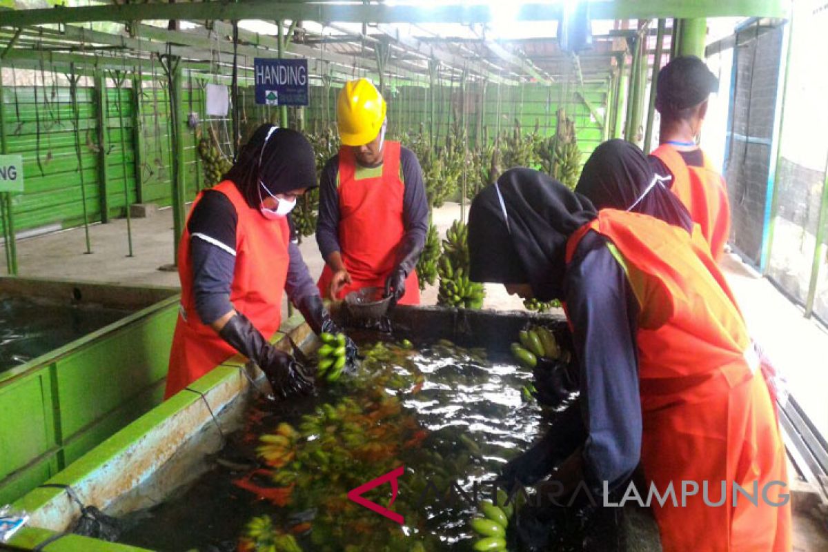 Lampung genjot sektor komoditas unggulan