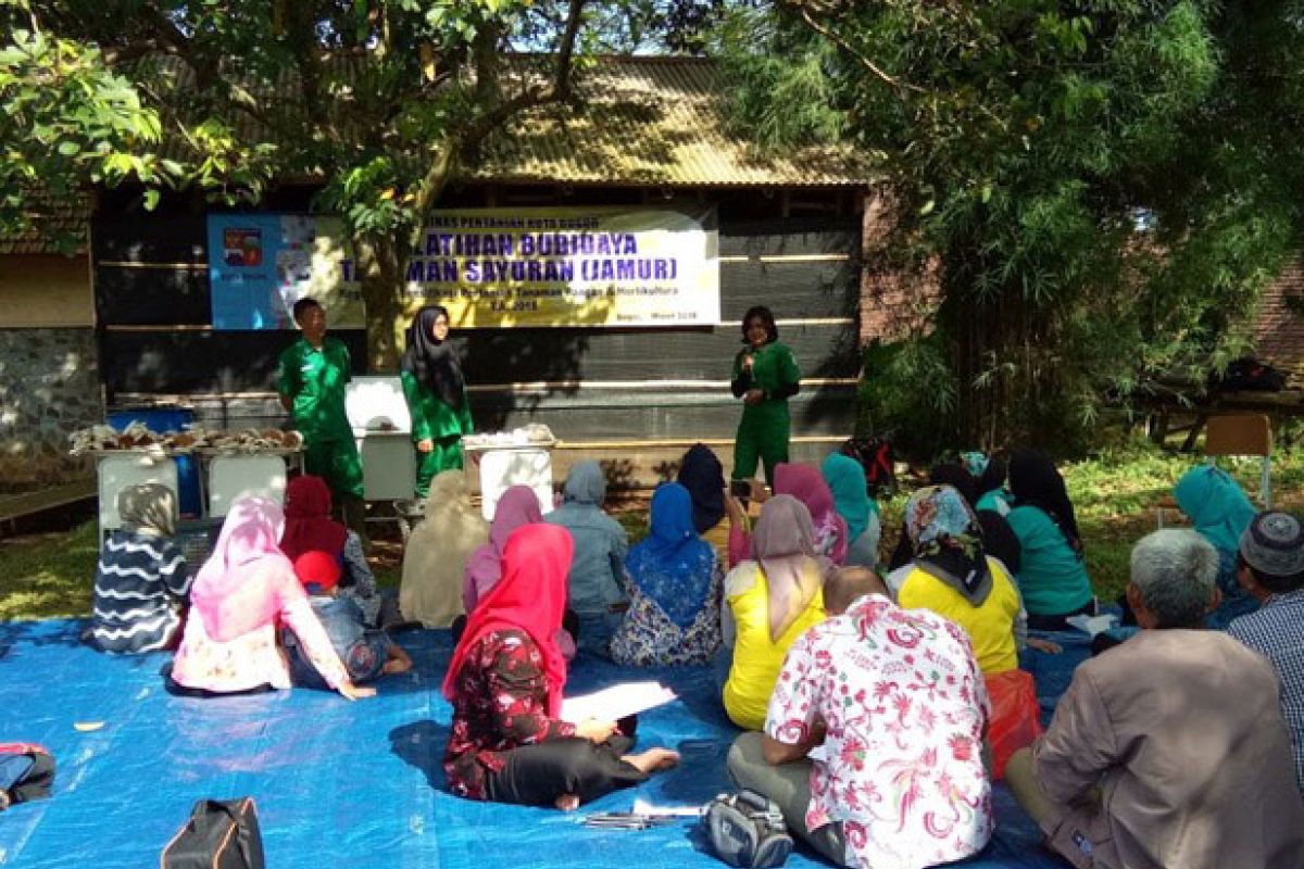 STPP Bogor latih masyarakat budidaya jamur tiram