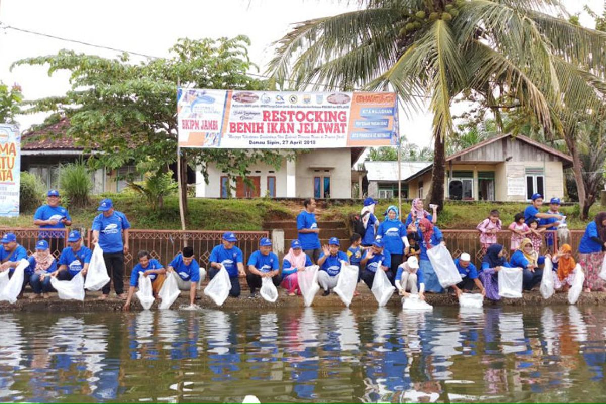 15.000 ikan jelawat dilepasliarkan di Danau Sipin