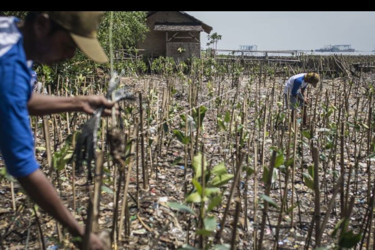 DLH Lebak Optimistis Raih Adipura 2018