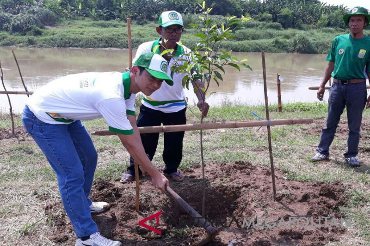 1.500 bibit pohon ditanam di lokasi longsor