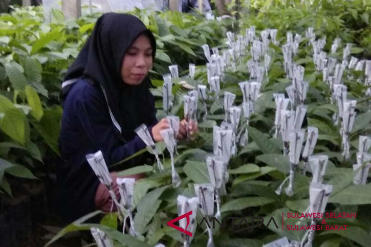 Jangan takut miskin jadi petani