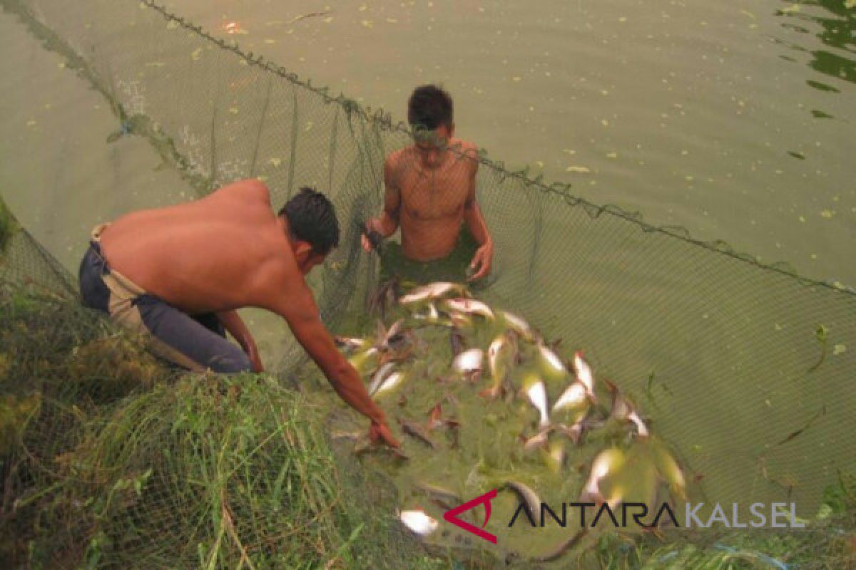 Diskan Siapkan HSU Menjadi Grosir Ikan