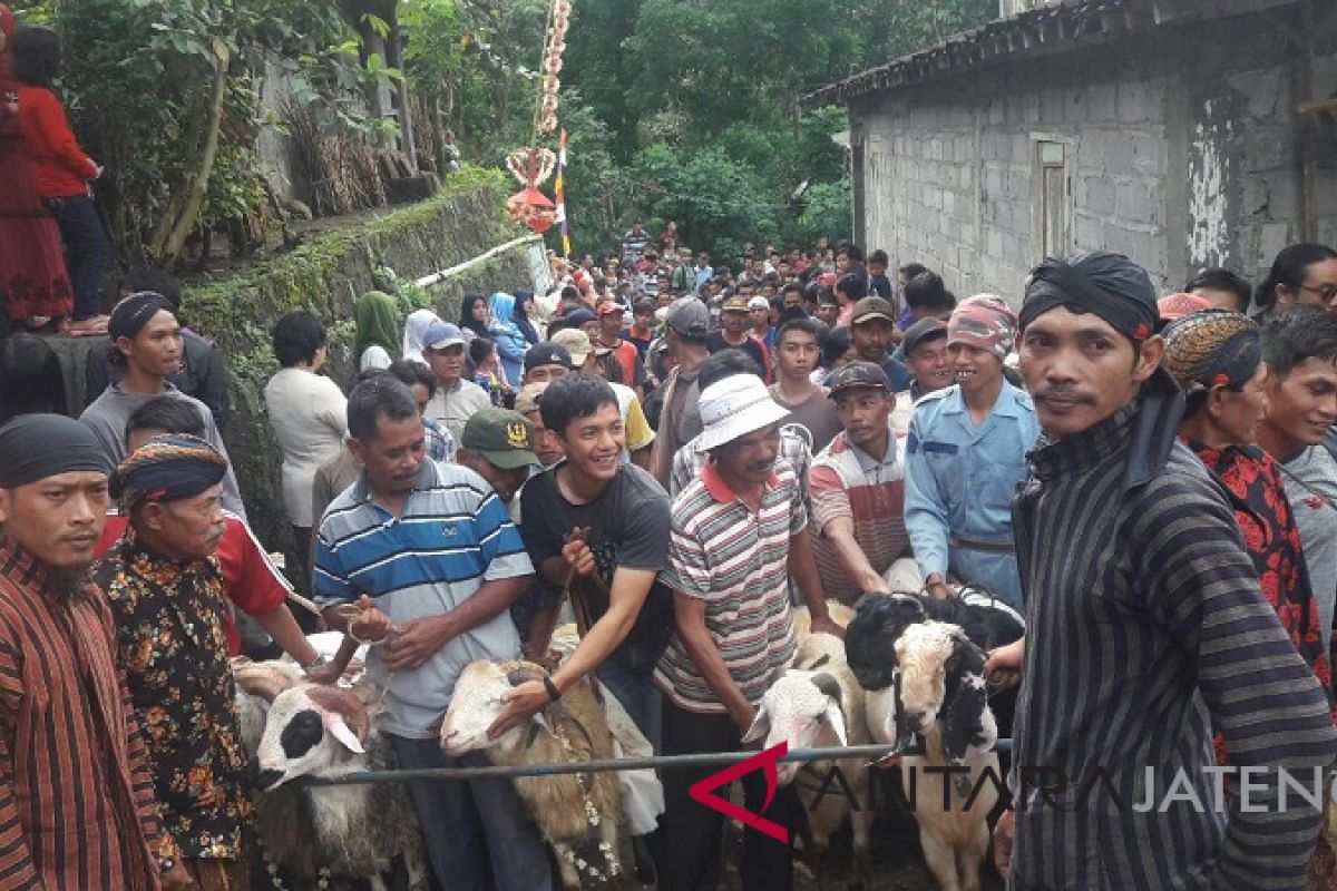 Nyadran, Dusun Pete Temanggung sembelih 90 kambing