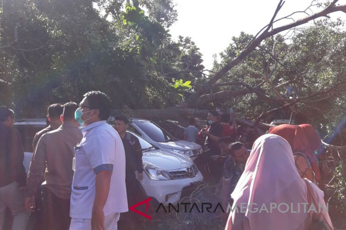 Pohon beringin tua tumbang timpa belasan mobil di Sukabumi