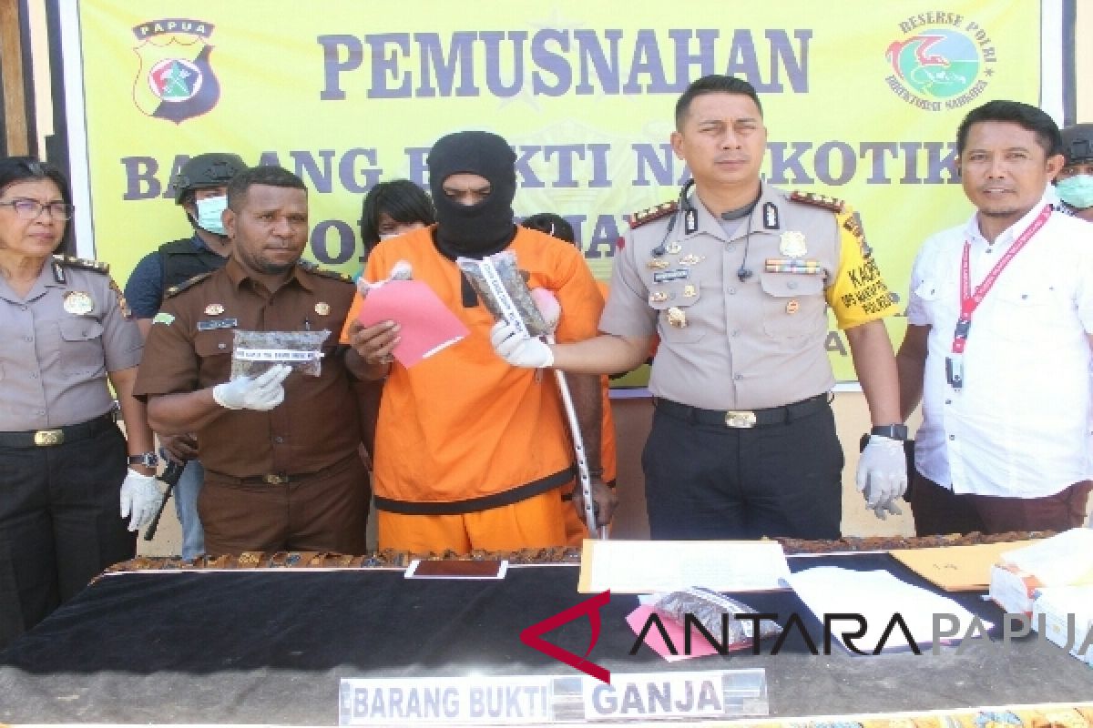 Polres Jayapura musnahkan 401,5 gram ganja