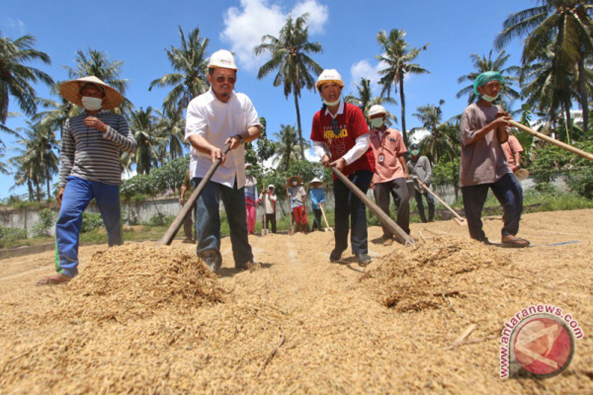 Banyuwangi tuan rumah pameran produk unggulan pertanian