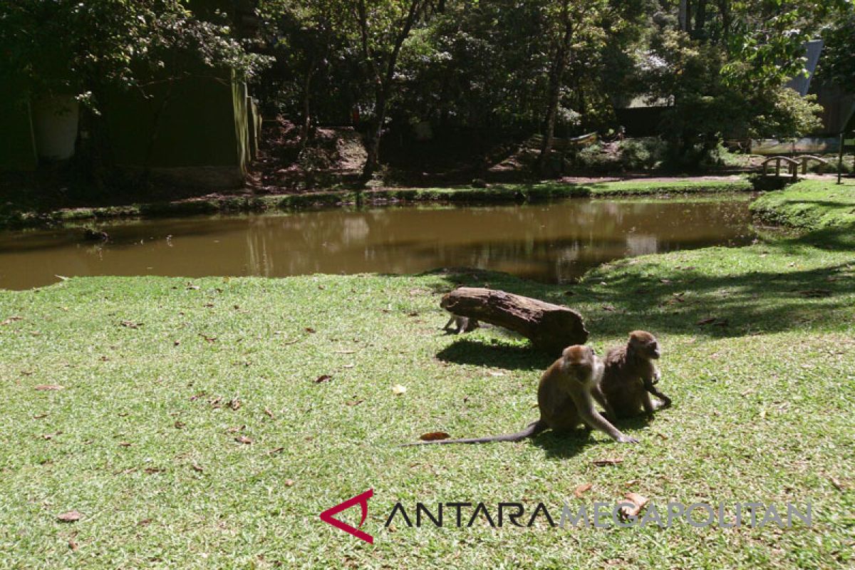 Hindari bawa kantong plastik ke Telaga Warna, ini sebabnya