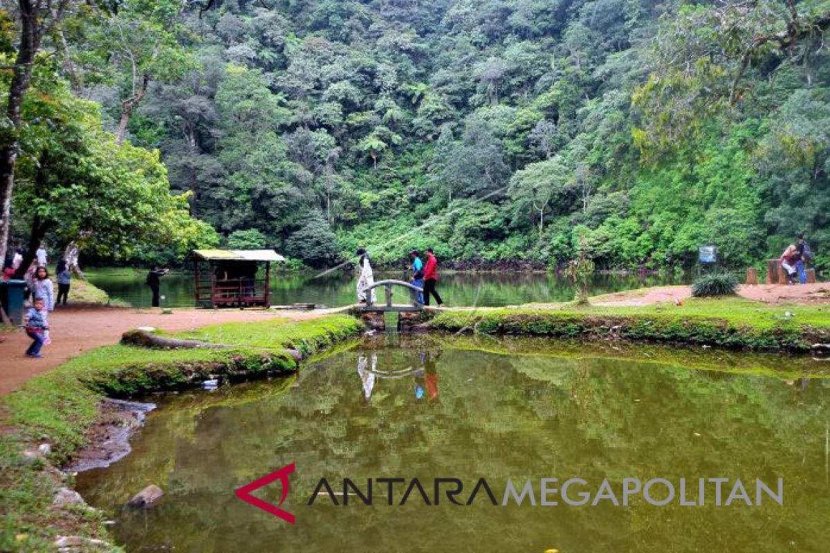 Wisata vegetarian mulai dikembangkan