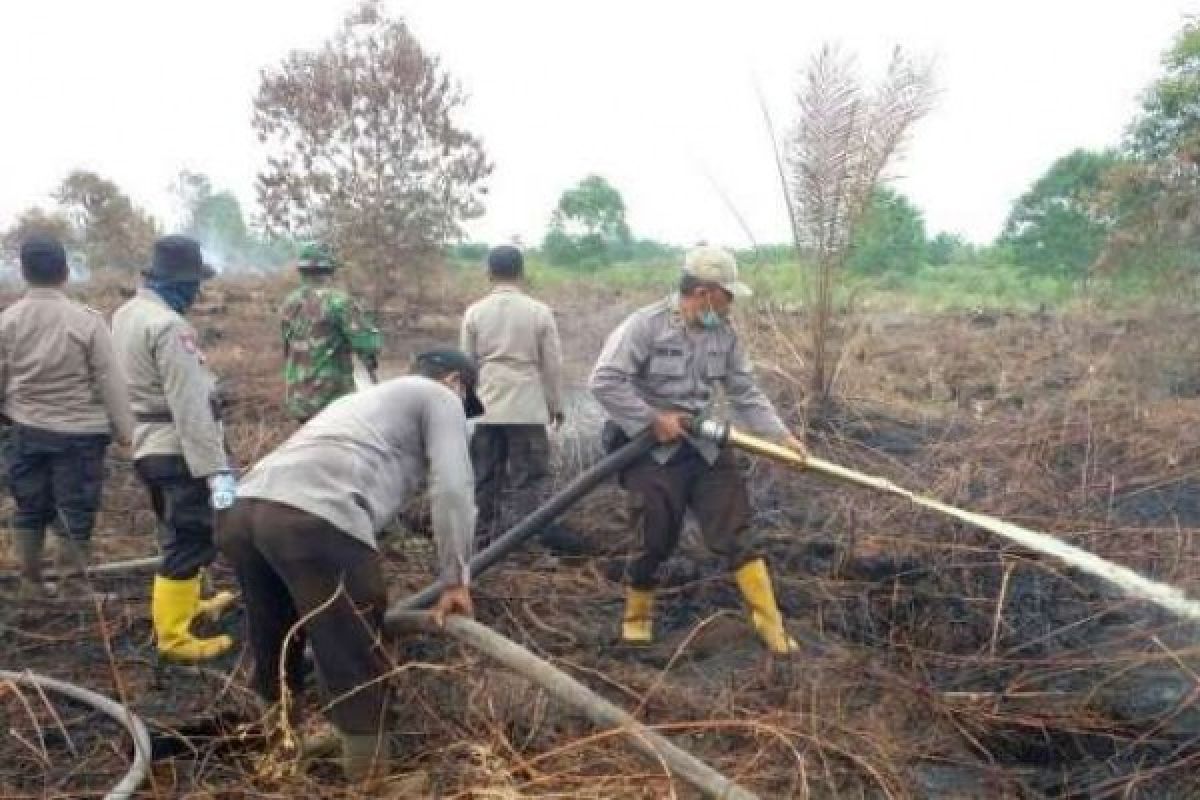 Terbakar lagi 50 Hektare, Satgas Kembali Lakukan Pemadaman di Tanah Putih Rohil
