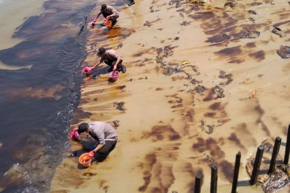 Belasan kilometer pantai Penajam tercemar tumpahan minyak