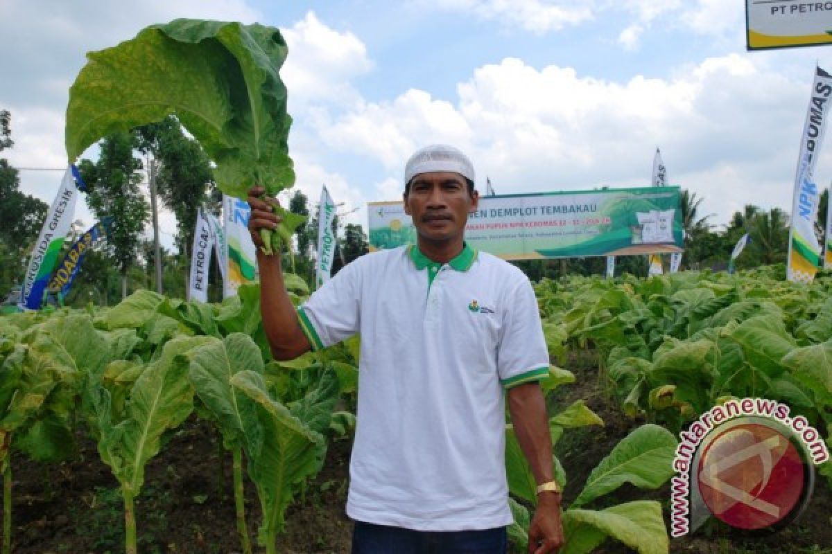 NTB antisipasi dampak pengurangan impor tembakau