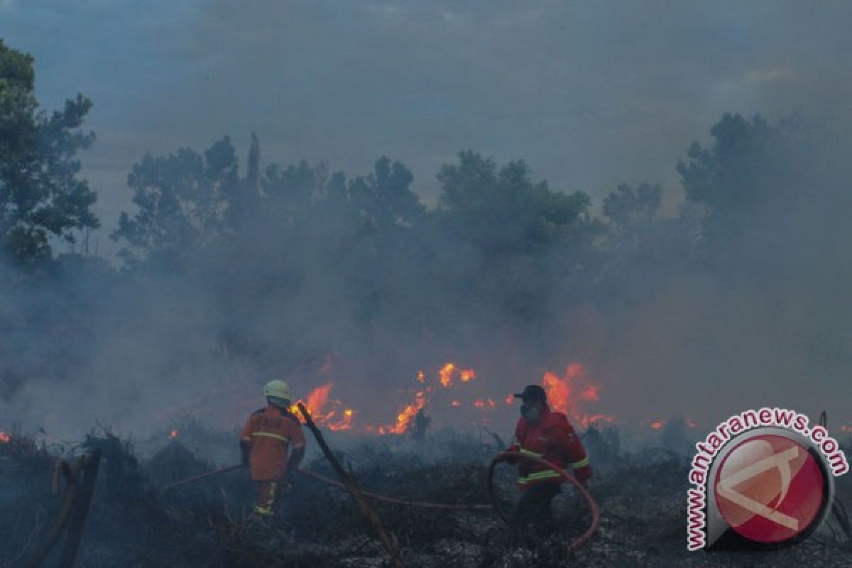 211 titik panas tersebar di Sumatera