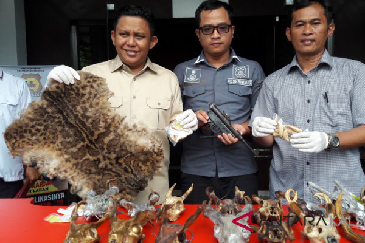 South Kalimantan police uncover protected animals trade