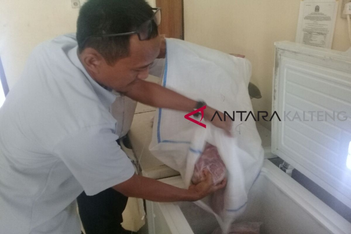 Daging sapi beku ringankan beban masyarakat