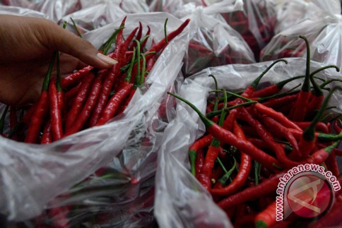 Jelang Lebaran, harga cabai merah di Jambi naik