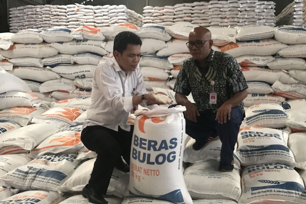 Bulog: stok beras nasional tembus 1,3 juta ton